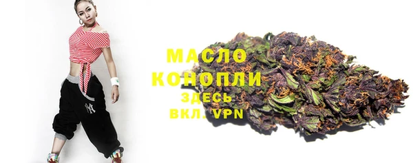 гашик Майский