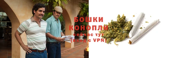 гашик Майский