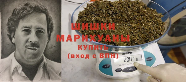СК Медвежьегорск