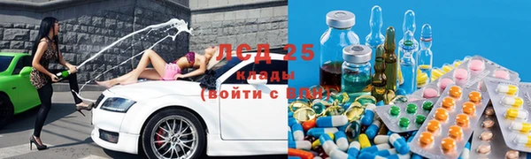 гашик Майский