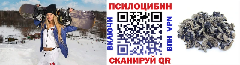 Галлюциногенные грибы Psilocybe  Купить закладки  Ясногорск 